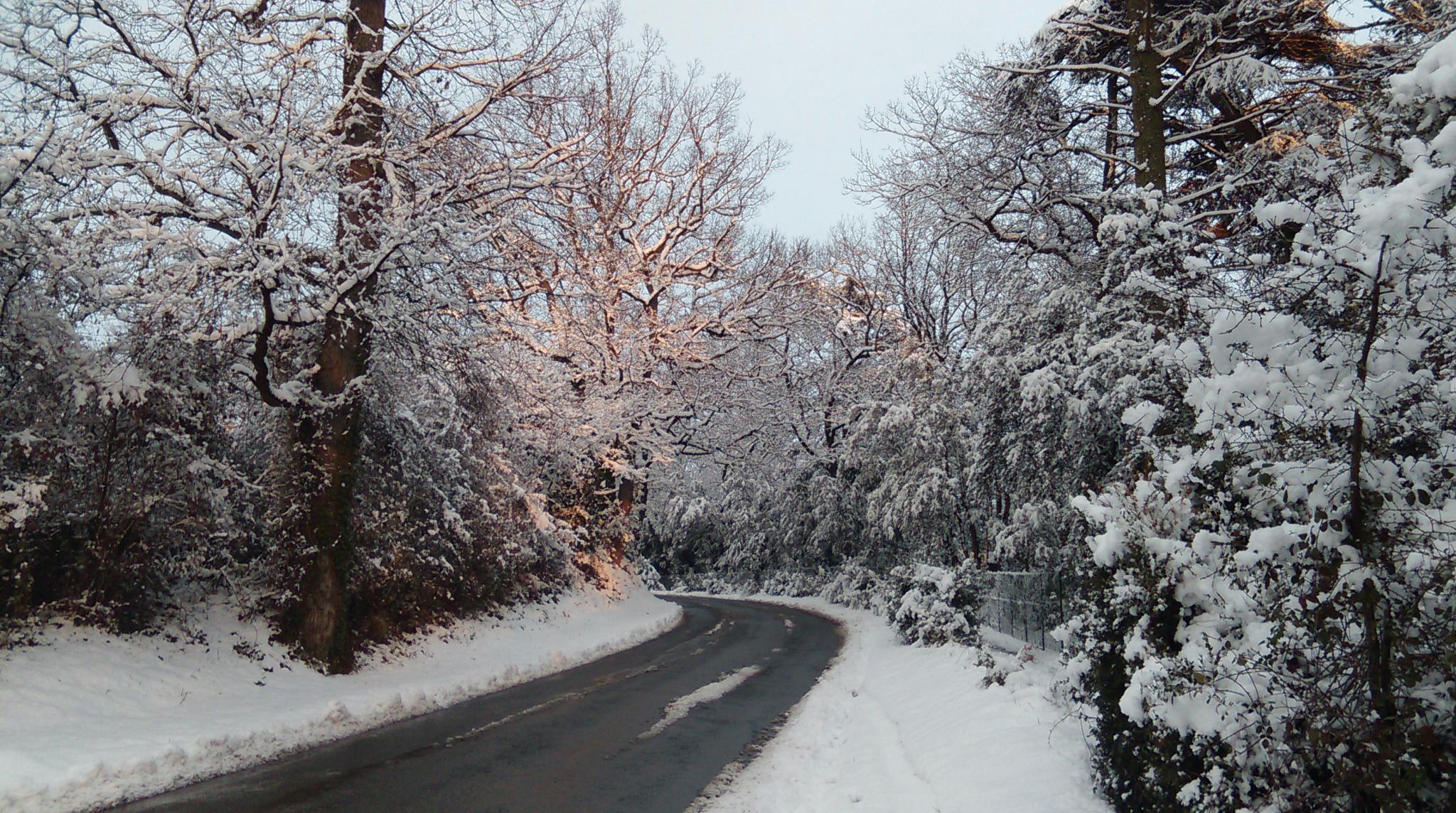 Viviers sous la neige le 03.02.2015